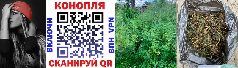 Бошки марихуана THC 21%  Купить  Ульяновск 